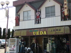 Toy Shop Ueda