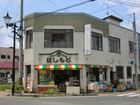 Hashimoto Store