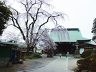 Myotoku Temple