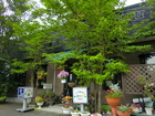 Coffee shop "Fukinotou"